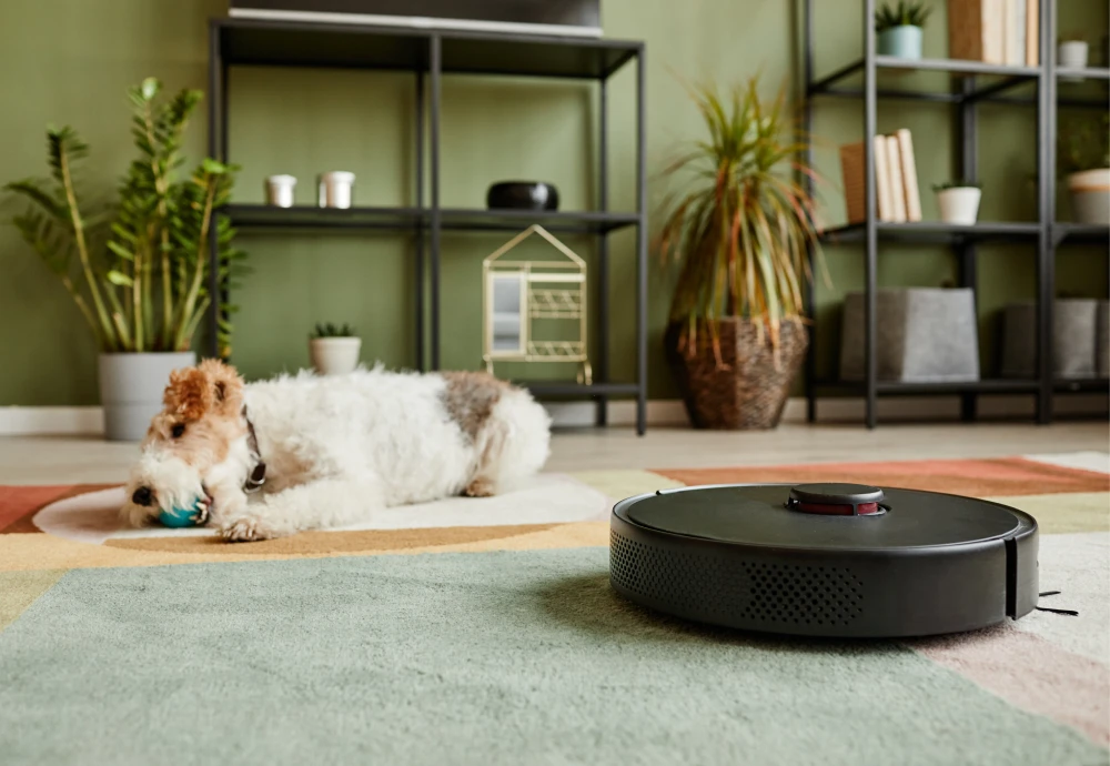 robot vacuum cleaner the best